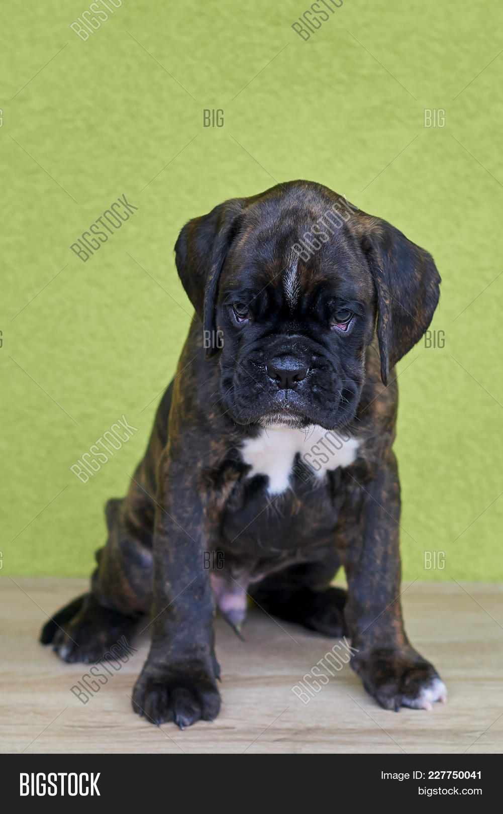 Small Black White Image Photo Free Trial Bigstock