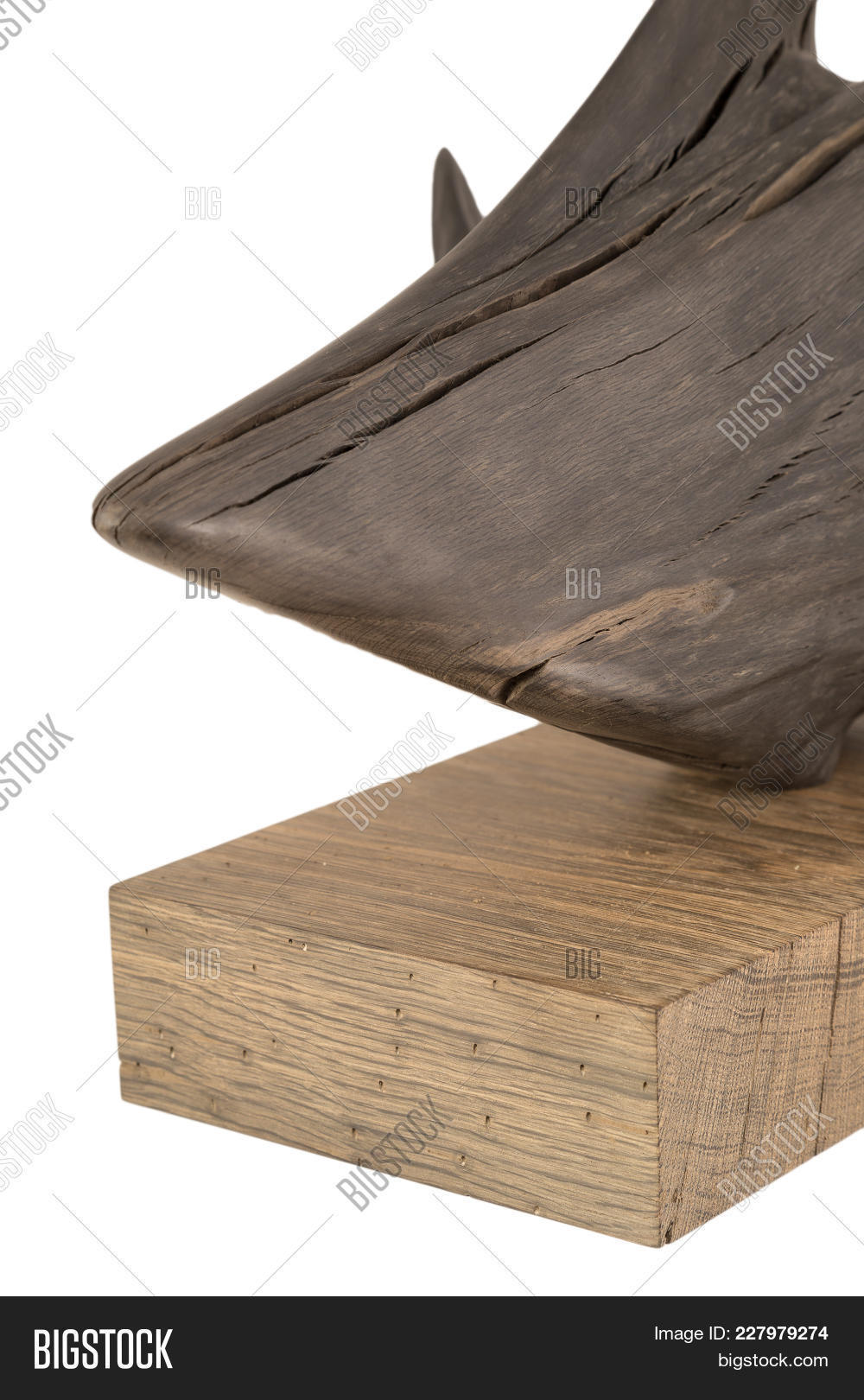 Product Made Roots Old Image Photo Free Trial Stock Product Made Roots Old Image Photo