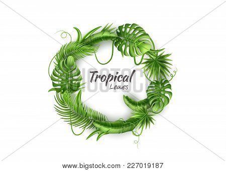 Realistic Tropical Leaves Frame Template Vector 3d Jungle Forest Exotic Monstera Banana Palm Leaf Fl