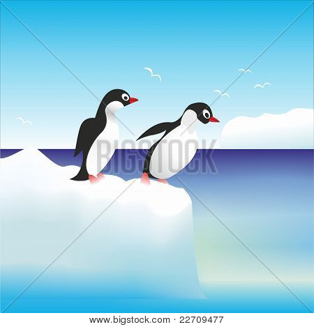 ペンギン、岩の上に