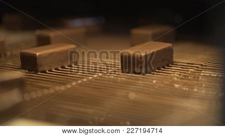 Chocolate Sweets Go On The Conveyor. Sweets On The Conveyor. Chocolate Sweets Are Moving On The Conv