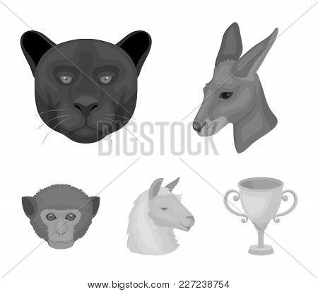 Kangaroos, Llama, Monkey, Panther, Realistic Animals Set Collection Icons In Monochrome Style Vector