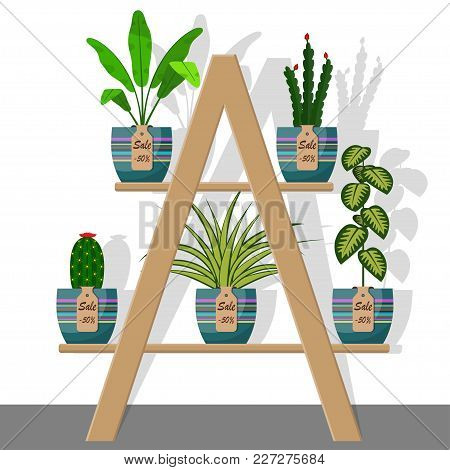Room Plants And Flowers In Pots On On Rack With Labels Sale, Discount 50 Percent. Flat Style Vector