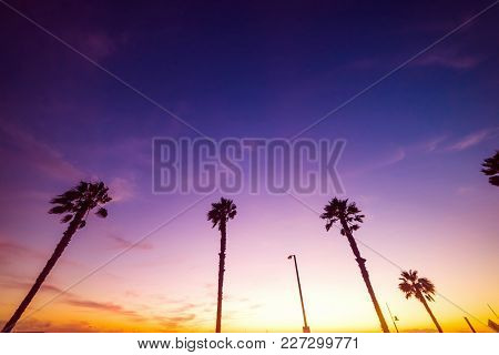 Pink Sunset In Santa Monica Beach. Los Angeles, California
