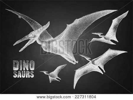 Graphic Flying Pterodactyls. Vector Dinosaurs Isolated On The Chalkboard. Animal Of The Prehistoric 