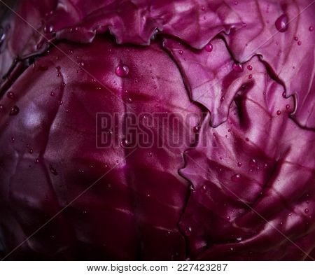 A Head Of Fresh Red Cabbage From Close Range