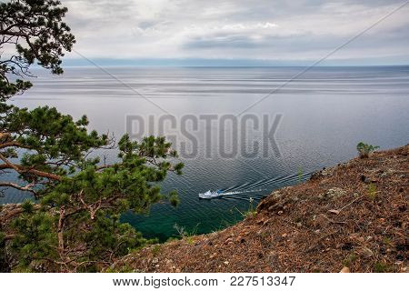 Pine Tree Above Lake Baikal With Small Ship On A Cloudy Day, Russia