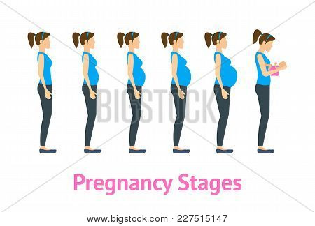 Cartoon Woman Pregnancy Stages Or Steps And Birth Set Care Health Concept Flat Style Design. Vector 