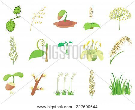 Plant Icon Set. Cartoon Set Of Plant Vector Icons For Web Design Isolated On White Background