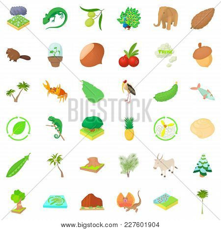 Eco Resource Icons Set. Cartoon Set Of 36 Eco Resource Vector Icons For Web Isolated On White Backgr