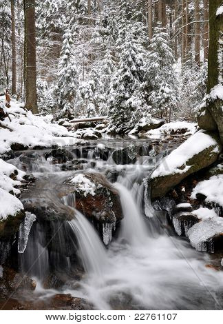 ครีกหนาวในอุทยานแห่งชาติ Sumava - สาธารณรัฐเช็ก