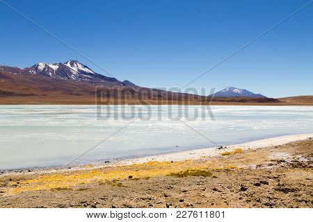 Laguna Hedionda Landscape,bolivia. Beautiful Bolivian Panorama. Blue Water Lagoon