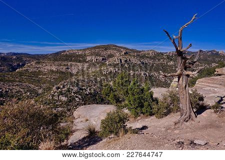 Tucson, Usa, 2018.02.09.: A Landscape On The Way From Tucson To Mt. Lemmon In The Usa.