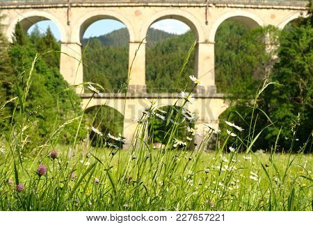 Field Flowers On The Background Of The Aqueduct. The Semmering Railway In Austria Was The First Moun