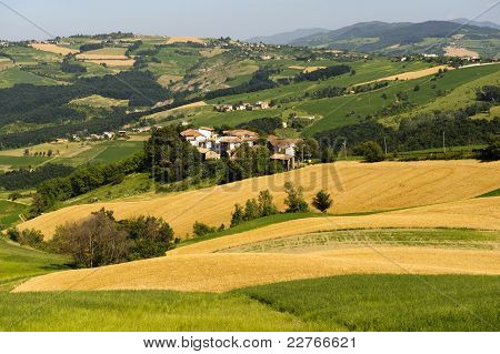 Paesaggio In The Oltrepo Pavese (Italia)