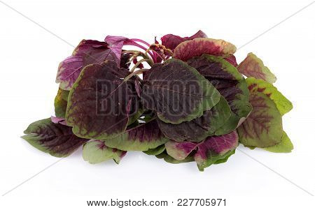 Closeup Red Spinach Isolated On White Background