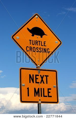 Turtle passage