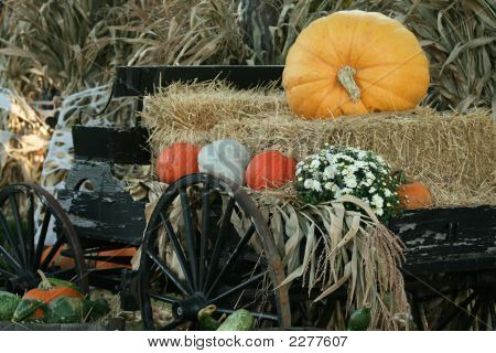 Full Halloween
