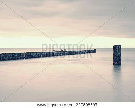 Sandy Beach In Silent Bay, Old Wooden Breakwaters Built To Protect Offshore.  Cloudy Sky Within Wind