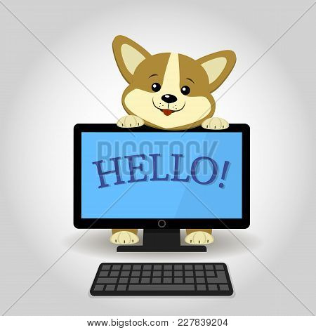 A Cute Corgi Dog Peeks Out From Behind A Black Computer With The Word Hello, In A Cartoon Style. Fla