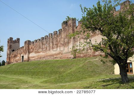 Castelfranco Veneto (treviso, Veneto, Italy): antiche mura e albero