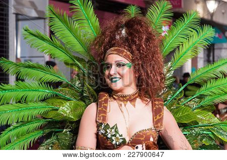 Portrait Of Young Girl At Parade Costumed Characters, Through The Streets Of The City. February 11, 