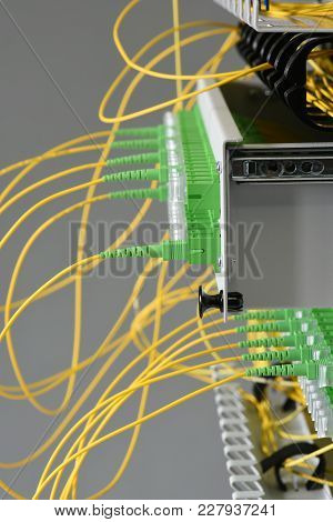 Fiber Optical Distribution Panel Switch With Cables In Server Room