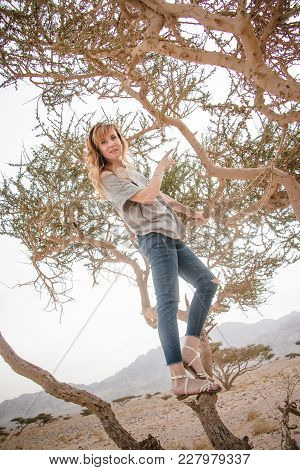 Pretty Girl Have Fun On A Tree In The Desert In A Day