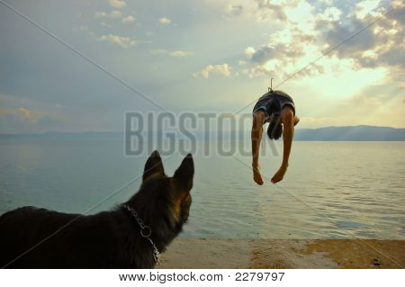 Flip