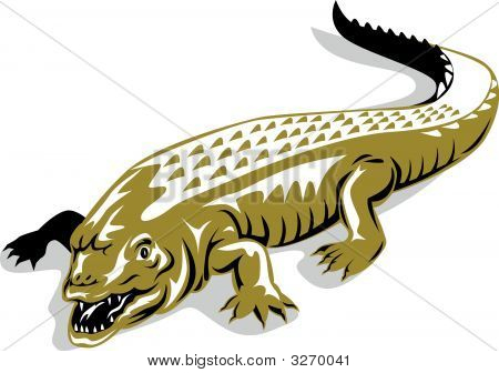 Crocodile