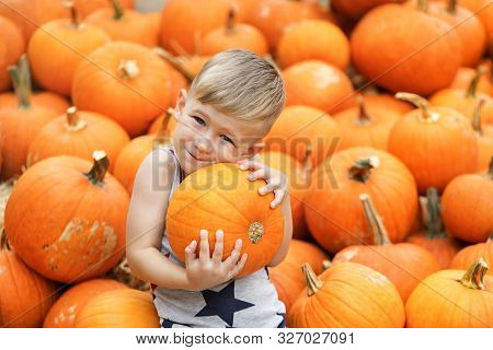 Little Boy Having Fun At Pumpkin Patch At Fall.