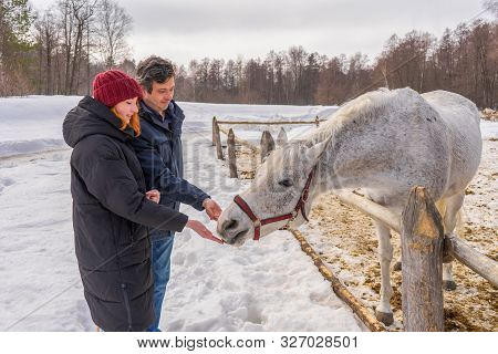 Teen Girl And Middle Aged Man Feeding Horse At Ranch In Snowy Day. Father And Daughter At Countrysid
