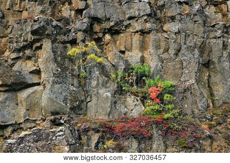 Autumn landscape in Pingvellir National Park, Iceland, Europe