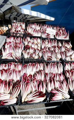 Boxes Of Red Chicory Typical Of Northern Italy Called Radicchio Tardivo For Sale At The Market