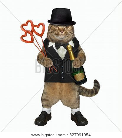 The Fashionably Dressed Cat With A Bottle Of Champagne And A Bouquet From Heart Shaped Sausages Look