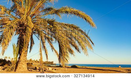 Percheles Beach, Murcia Region Spain. Mazarron Bay. Coastal Landscape With Palm Trees
