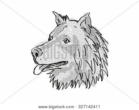 Retro Cartoon Style Drawing Of Head Of A Eurasier, Eurasian Spitz Or Wolf-chow, A Domestic Dog Or Ca