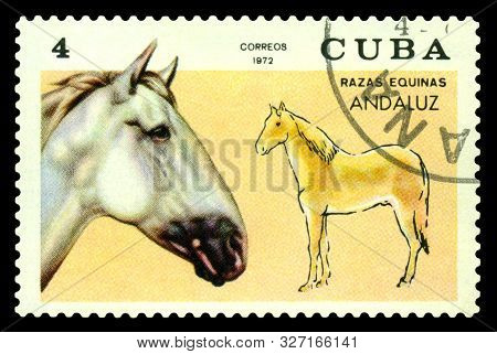 Stavropol, Russia -  October, 12 2019: A Stamp Printed By  Cuba  Shows Andalusian Horse, Pura Raza E