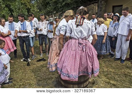 Aradac, Serbia, September 07, 2019. Bare Feet Girls Gauze Grapes. Traditional Slovak Celebration Of 