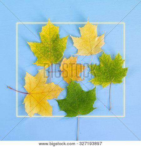 Trendy Concept Of  Maple Autumn Leaves With Colored  Frame With  Space For Text, Postcard Or Poster 