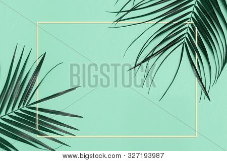 Trendy Concept Of  Palm Leaves With Colored  Frame With  Space For Text And Mint Green Background, P