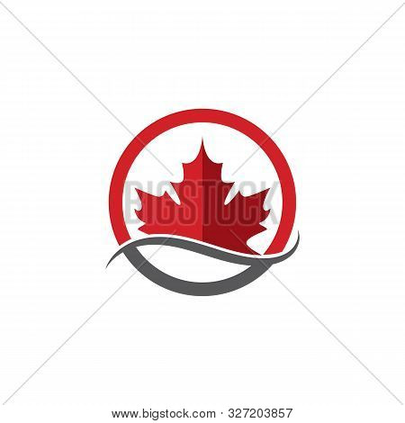 Maple Leaf Vector Icon. Maple Leaf Vector Illustration