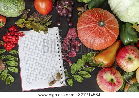 Autumn Multi-colored Vegetables On A Black Background With A Notebook Copy Space