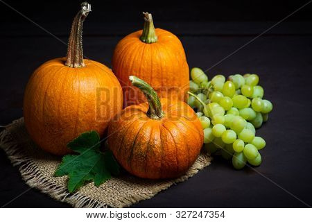 Punkins On A Rustic Background For A Thanksgiving Abstract