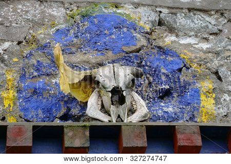 Decoration Of Animal Head Skull In Tibetan Buddhist Temple, Laji Shan Qinghai Province China