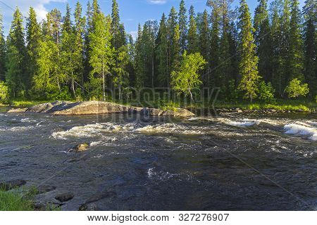 Keret River,  Riffle Preceding The Murash Rapids.  Karelia, Russia, End Of June.