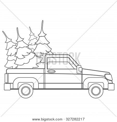 Pick-up Driven In The Trunk Of A Christmas Tree.