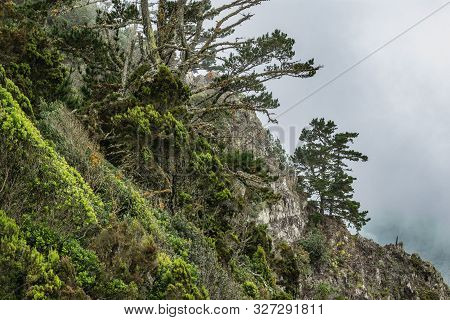 Parque Natural Majona. Northeastern Part Of La Gomera Island. Old Volcanic Mountains Covered By Gree