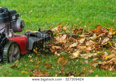 Lawn mover mulching up fall leaves.