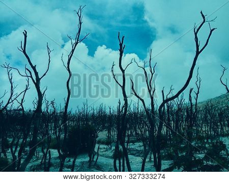 Mount Papandayan Is A Large Composite Volcano. It Is Constructed Of Alternating Layers Of Lava And A